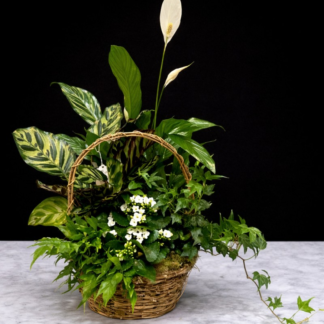 Small Plant Basket