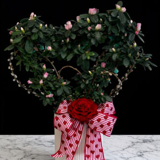 Azalea Topiary Heart