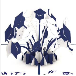 Graduation Hats Blue and White Card
