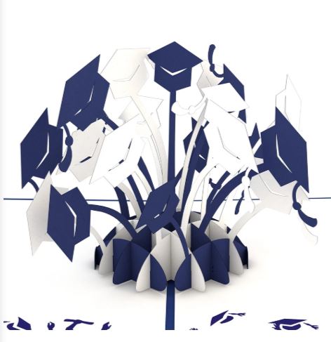 Graduation Hats Blue and White Card