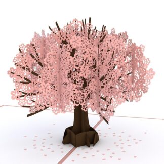Cherry Blossom - LovePop Card