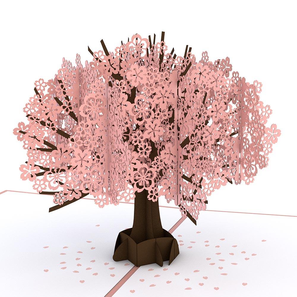 Cherry Blossom - LovePop Card