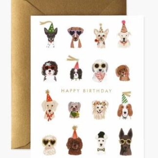 Cool Dogs Birthday Card
