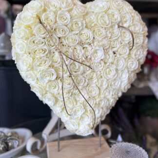 Heart of Hearts, White