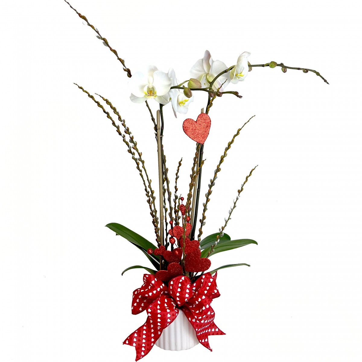 Orchid Lust Plant