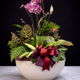 XLarge Ceramic Dish Garden
