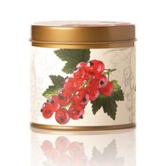 Rosy Rings Tin Candle, Cranberry