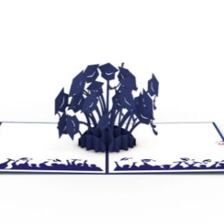 Graduation Hats Blue Card