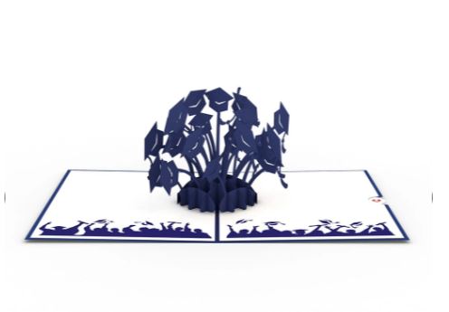 Graduation Hats Blue Card