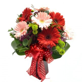 Valentine's Day Gerbs N' Dots Bouquet