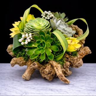 Succulent Paradise Bouquet