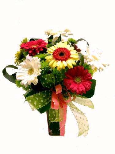 Gerbs N' Dots Bouquet