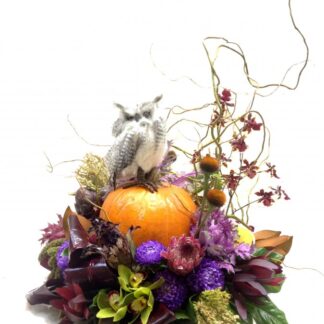 Watch Owl Centerpiece