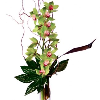 Tropical Thirst Bouquet