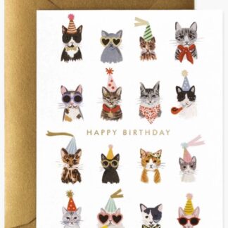 Cool Cats Birthday Card