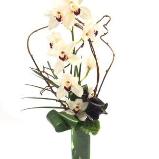 White Tropic Bouquet