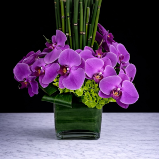 Orchid Paradise Bouquet
