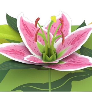 Lily Bloom LovePop Card
