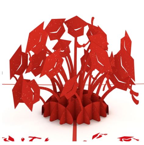 Graduation Hats Red Card - Image 3
