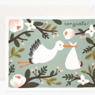 Congrats Stork Card