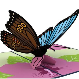 Blue Morpho Butterfly LovePop Card