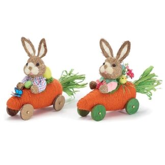 Bunny in Carrot Car