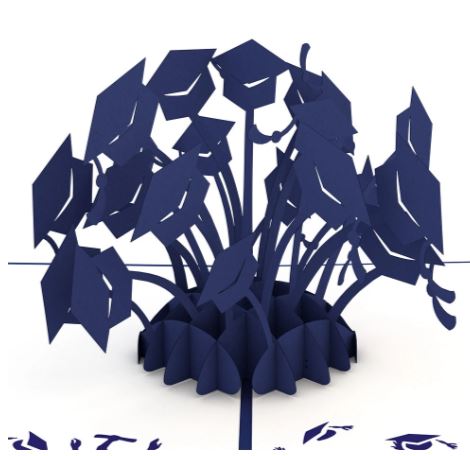 Graduation Hats Blue Card - Image 3