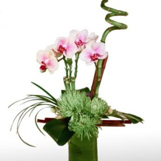 Lucky Me Bouquet