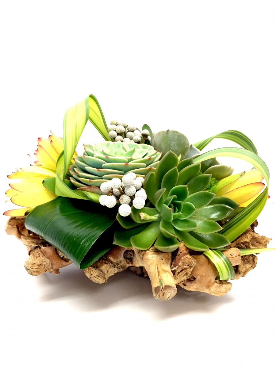 Succulent Paradise Bouquet - Image 2