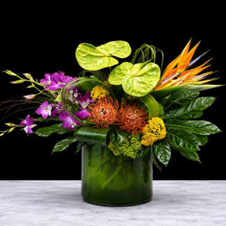Tropicals & Exotics