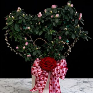Azalea Topiary Heart