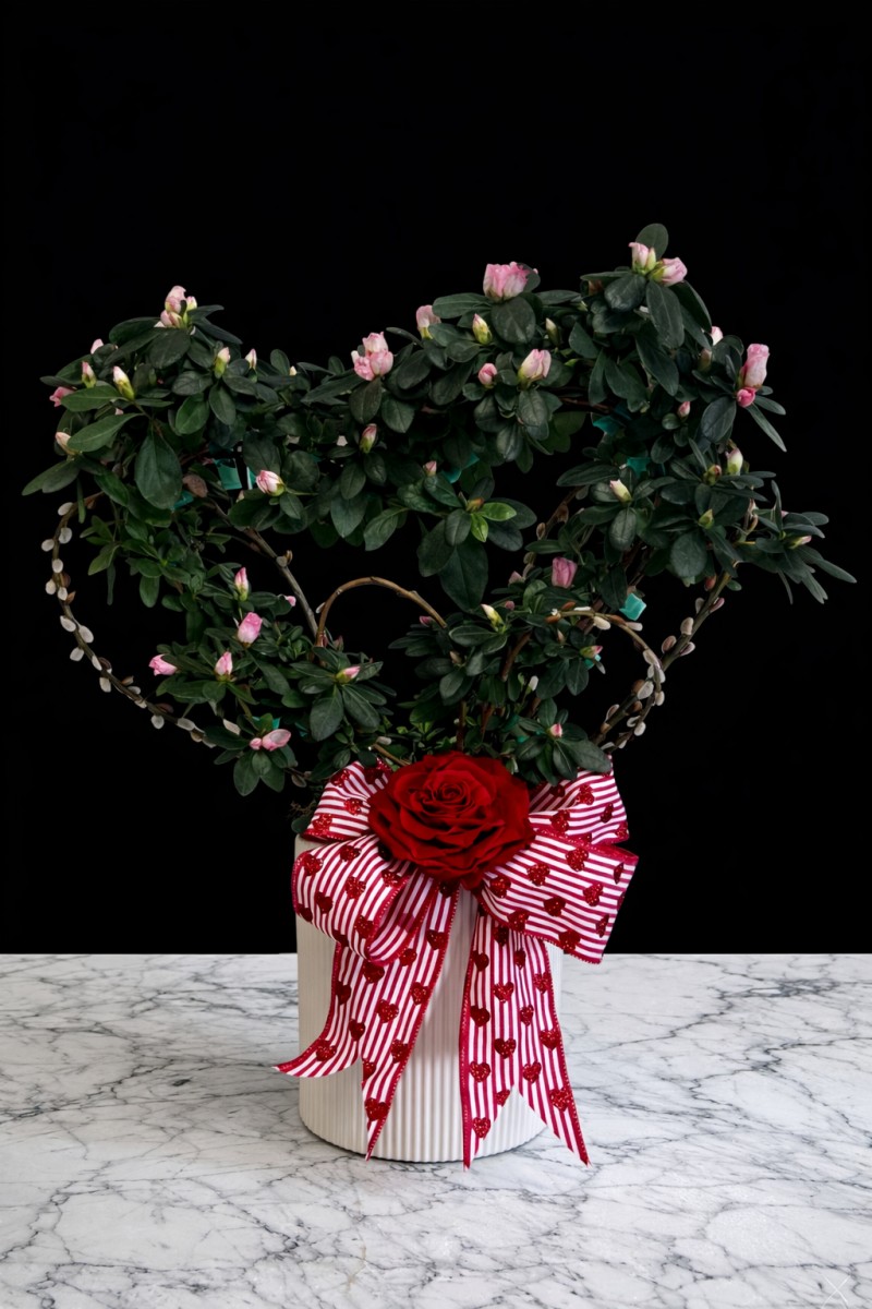 Azalea Topiary Heart